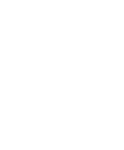 天せいろ、鴨せいろ